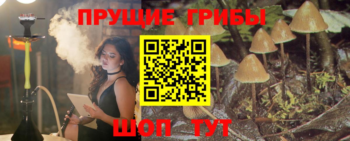 Чита  Галлюциногенные грибы ЛСД  Вход с VPN 